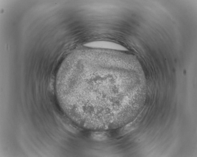 X0000088180175200706121700