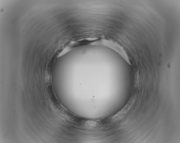 X0000088180176200706121700