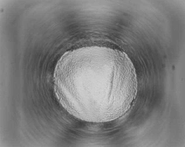 X0000088180178200706121700