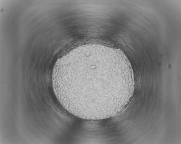 X0000088180179200706121700