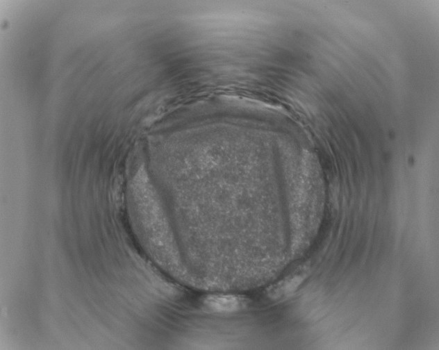 X0000088180181200706121700