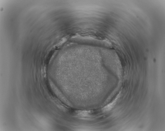 X0000088180182200706121700