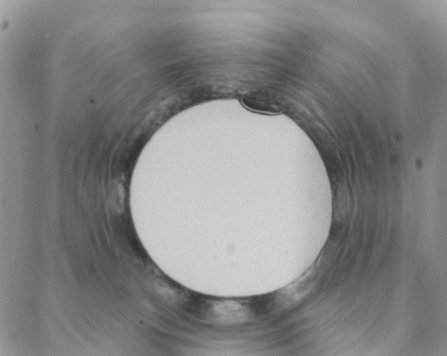 X0000088180183200706121700