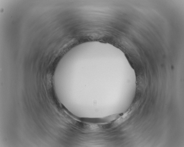 X0000088180184200706121700