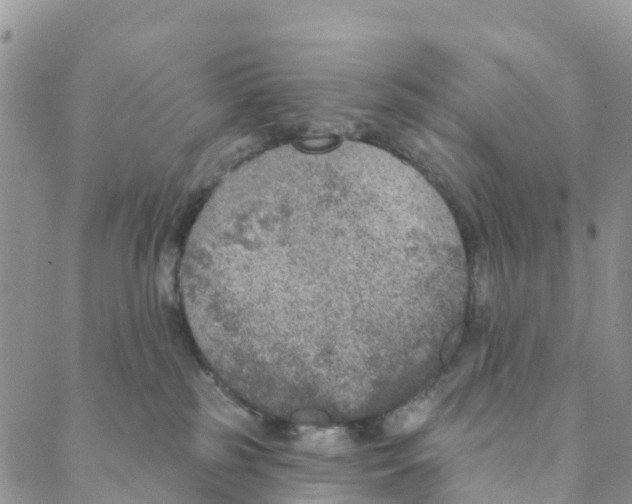 X0000088180185200706121700