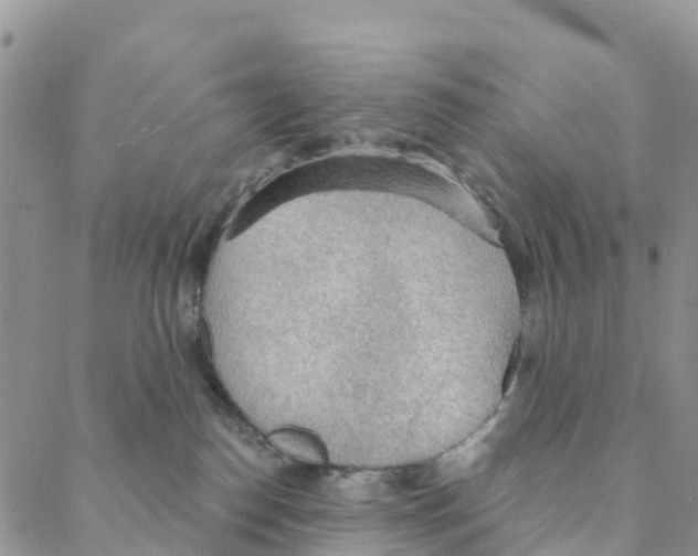 X0000088180186200706121700