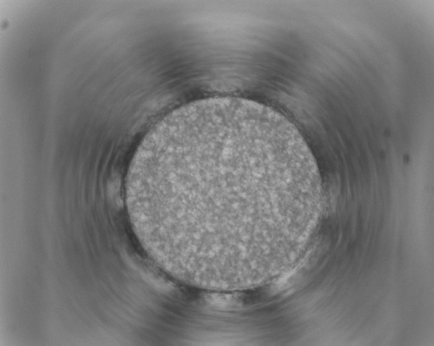 X0000088180187200706121700