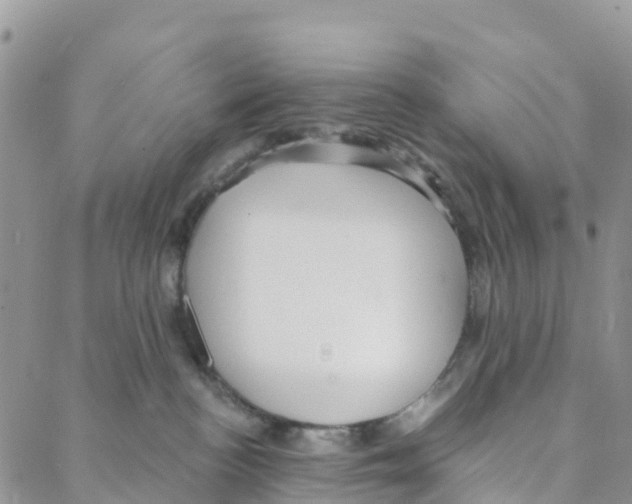 X0000088180188200706121700