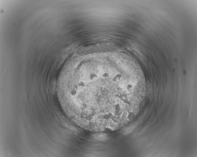 X0000088180189200706121700