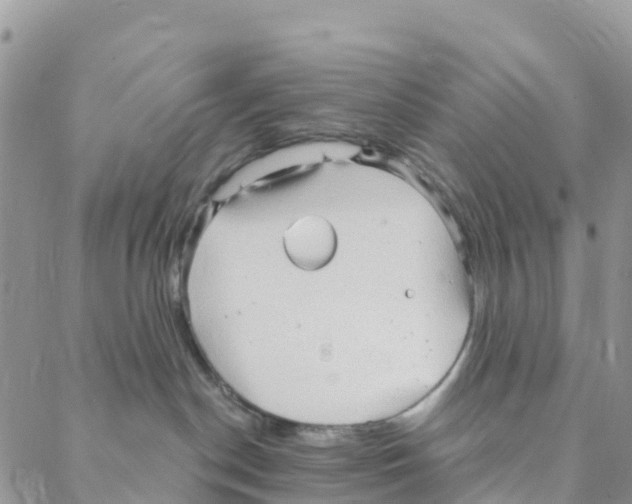 X0000088180190200706121700