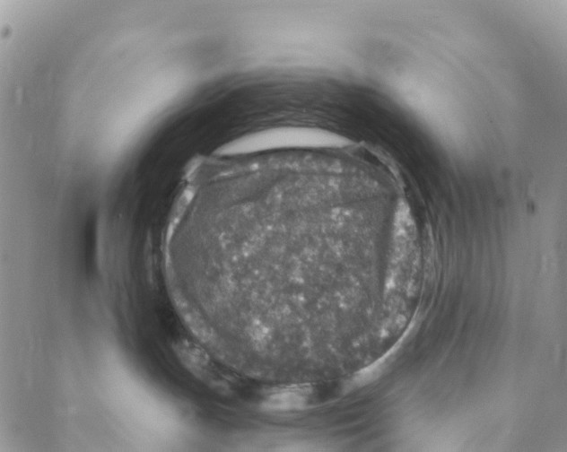 X0000088180191200706121700