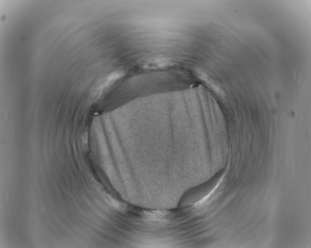 X0000088180192200706121700