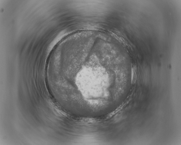 X0000088180195200706121659