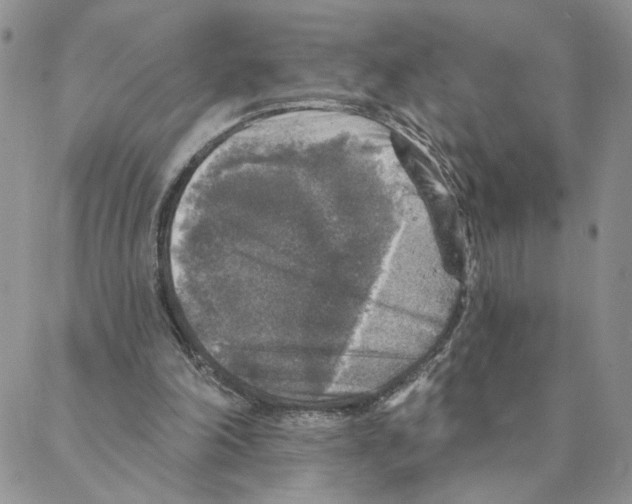 X0000088180198200706121659