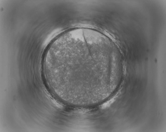 X0000088180199200706121659