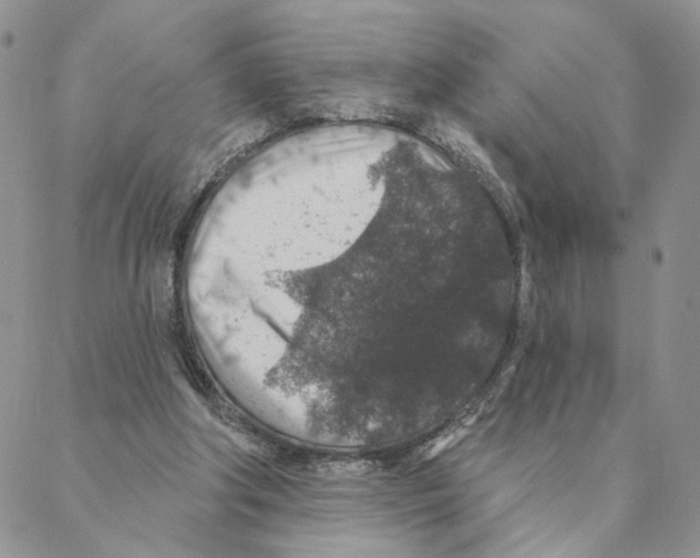 X0000088180202200706121659