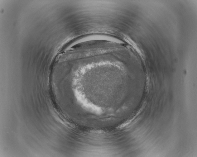 X0000088180203200706121659