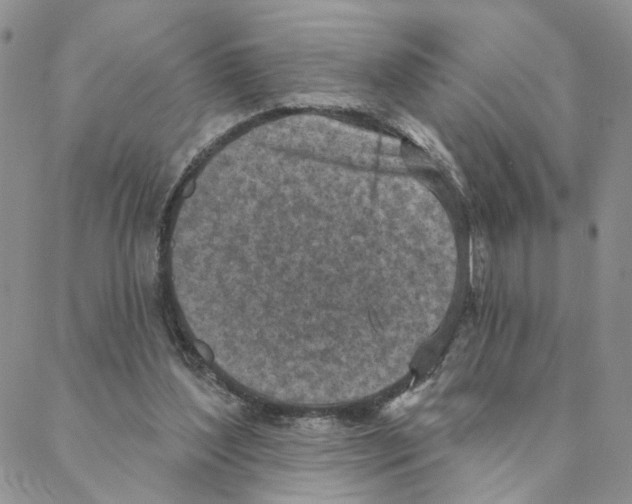 X0000088180204200706121659