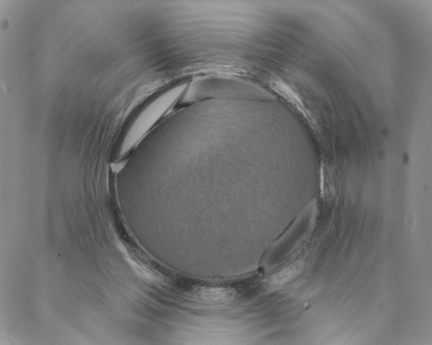 X0000088180205200706121659