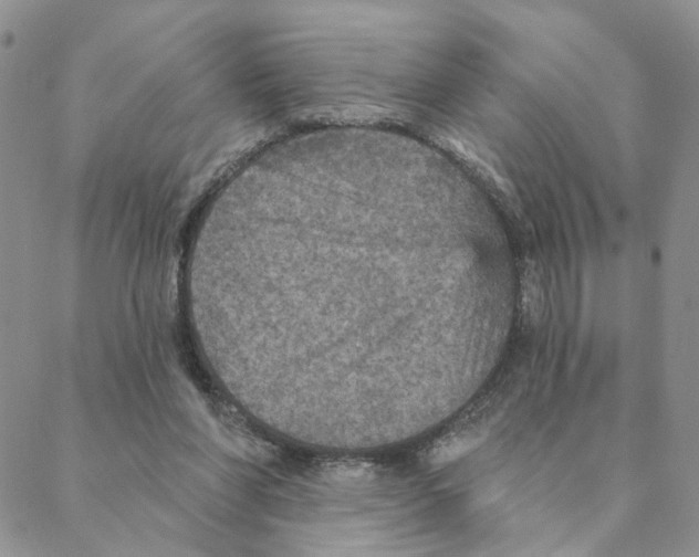 X0000088180206200706121659