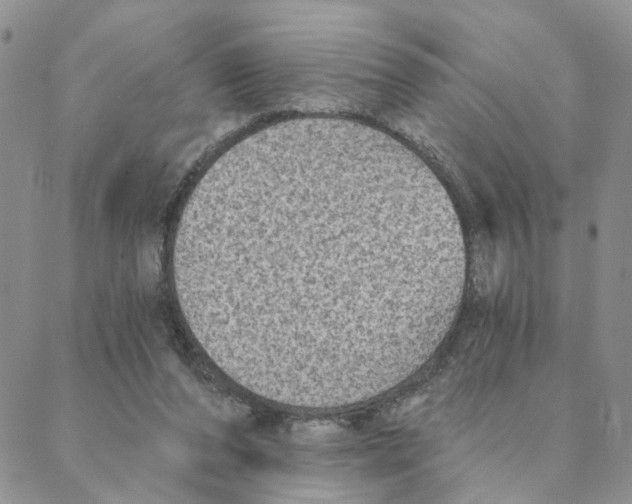 X0000088180208200706121659