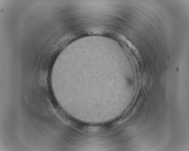 X0000088180209200706121659