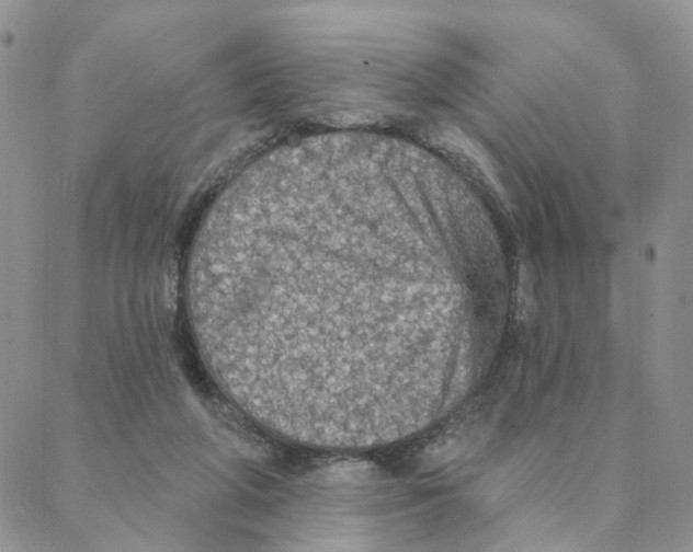 X0000088180210200706121659