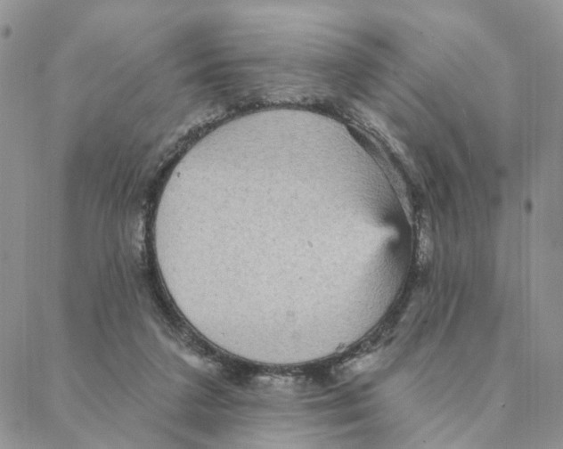 X0000088180211200706121659