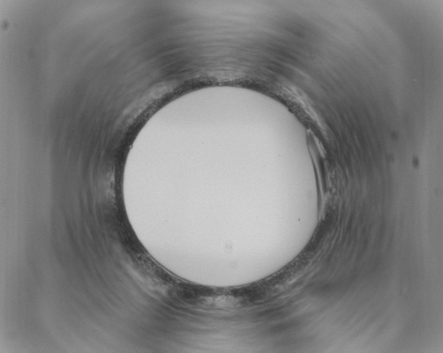 X0000088180212200706121659