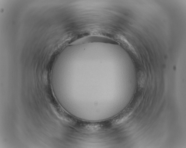 X0000088180213200706121659