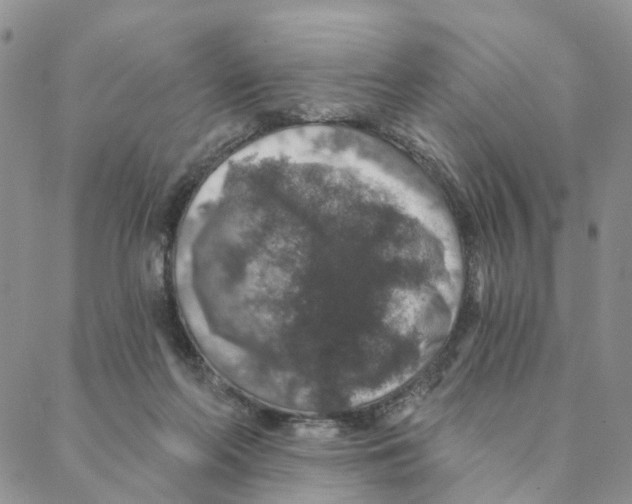 X0000088180214200706121659