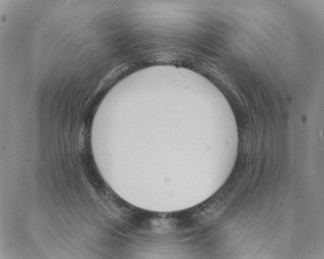 X0000088180216200706121659