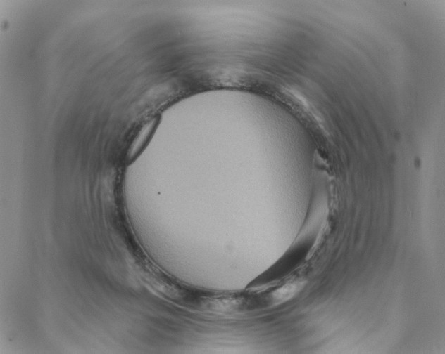 X0000088180217200706121659