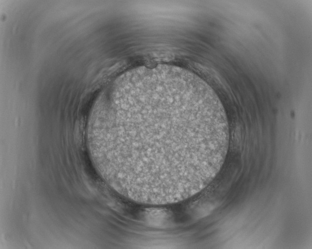 X0000088180218200706121659