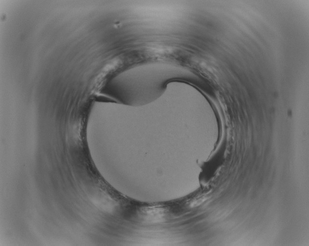 X0000088180219200706121659