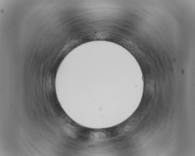 X0000088180220200706121659