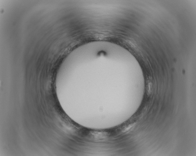 X0000088180221200706121659