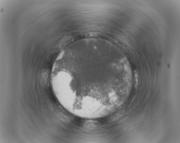 X0000088180222200706121659