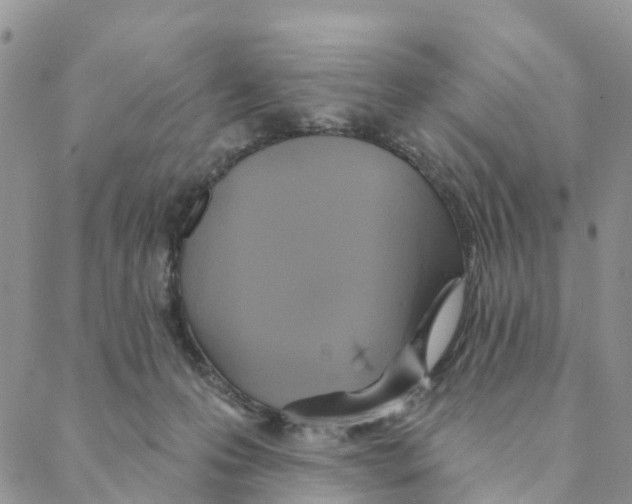 X0000088180223200706121659