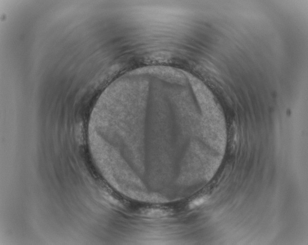 X0000088180224200706121659