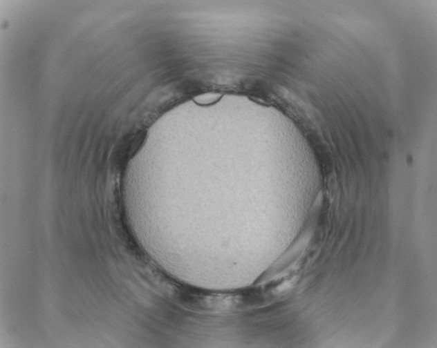 X0000088180225200706121659