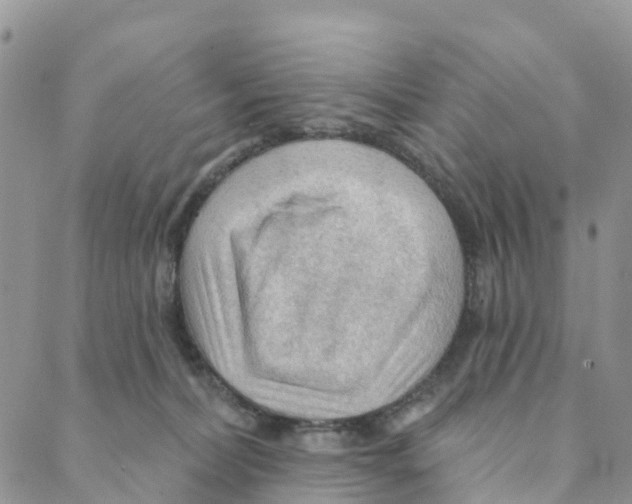 X0000088180228200706121659