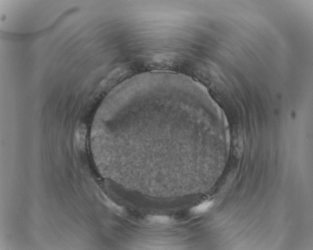 X0000088180231200706121659