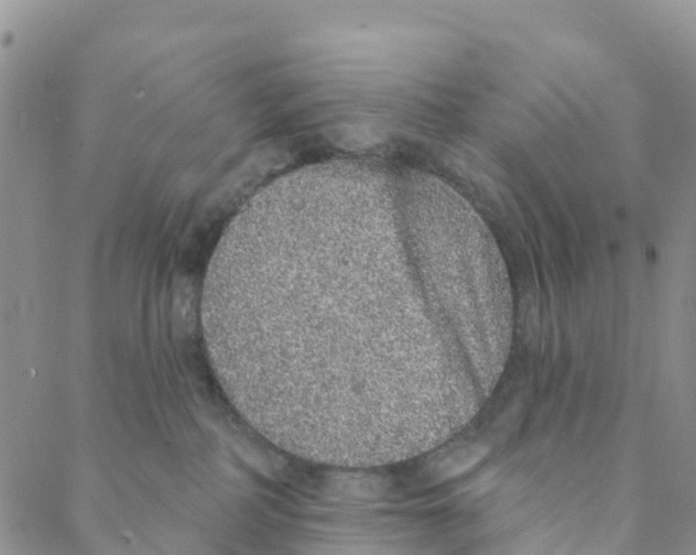 X0000088180234200706121659