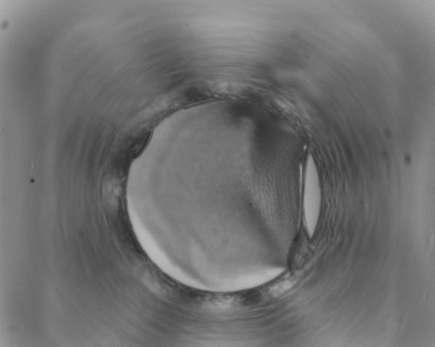 X0000088180235200706121659