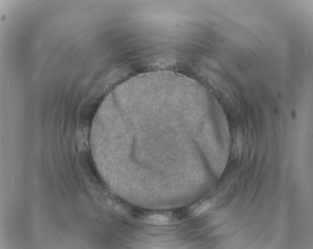 X0000088180236200706121659