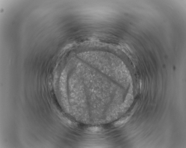 X0000088180237200706121659