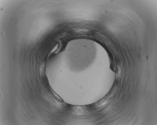 X0000088180239200706121658