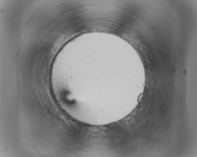 X0000088180241200706121658