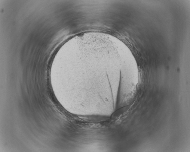 X0000088180243200706121658